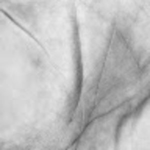 Meet your Posher, Janice